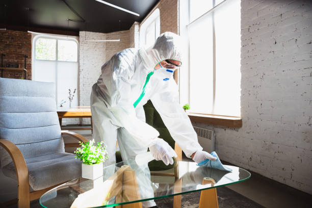 Best Mold Remediation for Healthcare Facilities in Carmel, IN